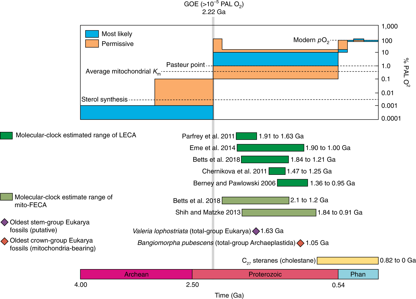 Great Oxidation Event and complex and eukaryotes
