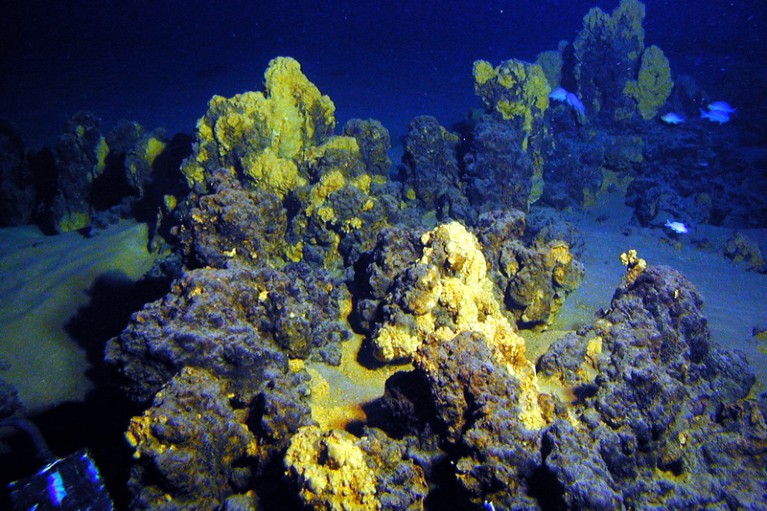 Underwater volcano microbes