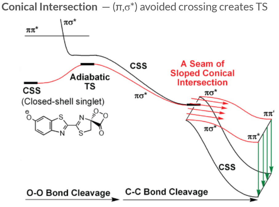 Luciferin conical intersection